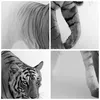 Gerahmtes Poster - Rahmen in heller Eiche - Tiger Monochrom Produktbild-Vorschau 9