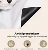 KitchenYeah© Herdabdeckplatte Katzen - Augen - Makro , Produktbild-Vorschau 4