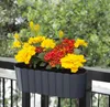 Spetebo Balkon Blumenkasten mit Halterung 39 x 13 cm - 6er Produktbild-Vorschau 8