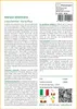 SAFLAX  - Storace americano - 100 semi - Liquidamber Anteprima dell’immagine prodotto 3