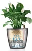 Samozavlažovací květináč Lechuza Classico LS Ø 35 x 32,5 cm Náhled obrázku produktu 14