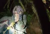 Blair Witch Produktbild-Vorschau 4