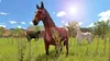Nintendo Switch My Little Riding Champion Produktbild-Vorschau 7