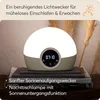 A bedside lamp with a digital display, placed on a stack of books, with dried plants in the background. Produktbild-Vorschau