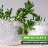 V1 Trade rolka bublinkovej fólie 10m - obalový materiál Náhľad obrázku produktu 5