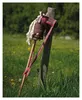 GOKI Cavallo da salto per hobby Anteprima dell’immagine prodotto 2