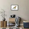 Gerahmtes Poster - Schwarzer Rahmen - Stieglitz Vogel Produktbild-Vorschau 7