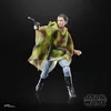 Hasbro Star Wars Černá série Princezna Leia (Endor) 15 Náhled obrázku produktu 15