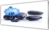 Acrylglasbilder 125x50 Wandbild Druck Blume Steine Kunst Produktbild-Vorschau 1