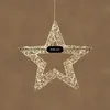 Luca Lighting Hangende Ster Kerstverlichting Zilver Warm Productafbeelding-voorbeeld 3