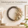 Türkranz Weidenkranz Natur 30 x 30 x 3 cm Produktbild-Vorschau 7
