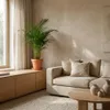 Dypsis Lutescens, Goldfruchtpalme, Palme, 100-120 cm, Topf Produktbild-Vorschau 4