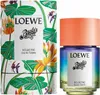Loewe Paula's Ibiza Eclectic Eau de Toilette unisex 100 ml Produktbild-Vorschau 3