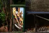 MuchoWow® Mülltonnenaufkleber Elefantenparade 38x80 cm - Produktbild-Vorschau 5