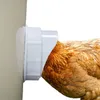 Podávač krmiva pre hydinu Náhľad obrázku produktu 7