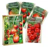 Artikelbild 1 von 'Alte Tomatensorten Set [MHD 01/2027]' aus der Kategorie Gemüsesamen-Sets Produktbild-Vorschau