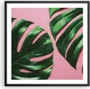 Gerahmtes Poster - Schwarzer Rahmen - Monstera Blatt Rosa - Produktbild-Vorschau 1