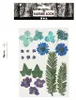 Creativ Company Trockenblumen und Blätter blau Bastelset 19 Produktbild-Vorschau 3