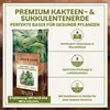 Green Home Kakteen & Sukkulenten Erde 72L mit Perlit. Produktbild-Vorschau 2