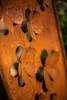 Schild Gartenschild Edelrost Rost zum Einstecken rostige Produktbild-Vorschau 4