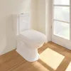 Villeroy & Boch V&B WC sedadlo HOMMAGE Závesy chróm biela Náhľad obrázku produktu 9