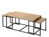 CALICOSY - Lot de 3 tables basses gigognes L100 cm - LENNY Voir les images du produit 1
