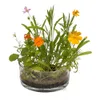 Dosenblume Blumenwiese 37/0043 Produktbild-Vorschau 7