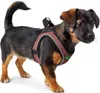 HUNTER Geschirr Hilo Comfort M, altrosa Produktbild-Vorschau 7