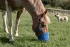 Anti-Graas Pferdemaulkorb The Ultimate Muzzle, Größe: Pony Produktbild-Vorschau 8