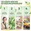 Australischer Marienkäfer - Larven gegen Wollläuse & Produktbild-Vorschau 6