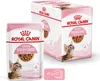 ROYAL CANIN FHN Kitten Sterilised - mokra karma dla kociąt Podgląd zdjęcia produktu 8