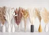 Bouquet di erba pampa essiccata 128 PCS per matrimoni e Anteprima dell’immagine prodotto 1