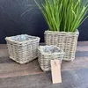 Rattan Pflanzkorb Set 3 Stück Natur – Übertopf / Blumentopf Produktbild-Vorschau 9
