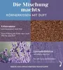 Lavendel-Mikrowellen-Kissen 30 x 20 cm, schwarz - Produktbild-Vorschau 4