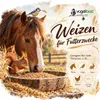 25 kg paszy pszenicznej dla kurczaków, ptaków i królików Podgląd zdjęcia produktu 2