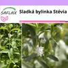 SAFLAX - Sladká bylinka Stévia - Stevia rebaudiana - 100 Náhľad obrázku produktu 10