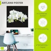 ARTland Poster Weiße Orchidee auf schwarzem Hintergrund Produktbild-Vorschau 3