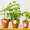 Zimmerpflanzen-Rankhilfe Gold,Metallstütze für Monstera, Produktbild-Vorschau 6