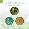 Protect Garden Curamat Plus Rosen-Pilzfrei AF 1 l Produktbild-Vorschau 5