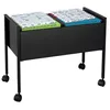DURABLE Hängemappenwagen ECONOMY DUO 100 A4, 308201 schwarz Produktbild-Vorschau 7