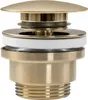 Rea Waschbeckenstöpsel Universal Click-Clack Brush Gold Produktbild-Vorschau 1
