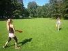 Schildkröt - Funsport SCOOP BALL Set im Meshbag Produktbild-Vorschau 19