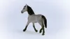 Cheval de Selle Français Jument Voir les images du produit 10