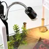 A close-up view of a terrarium with a lamp, artificial plants, and a small turtle on a wooden platform. Voir les images du produit