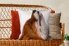 MuchoWow® Zierkissen Sofakissen Wohnzimmer Dekokissen 50x50 Produktbild-Vorschau 5