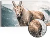 DEQORI Hybrid Leinwand Bild 60x30 cm 'Wächter der Berge' Produktbild-Vorschau 1