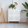 A white cabinet with louvered doors stands in a room with a floor lamp, a plant, and a rug. Produktbild-Vorschau