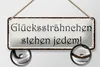 Blechschild Spruch 27x10cm Glückssträhnchen stehen jedem Produktbild-Vorschau 2