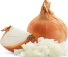 Cebula WOLSKA Nasiona 4g Toraf 28 Podgląd zdjęcia produktu 8