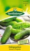 Quedlinburger Saatgut - Korniszony Restina - Nasiona - Podgląd zdjęcia produktu 4